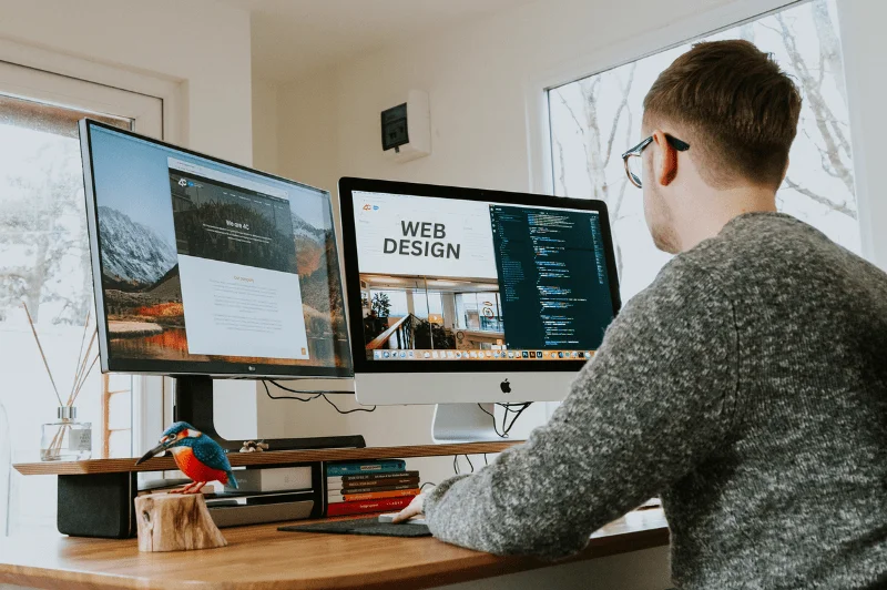 Before going to a web designer