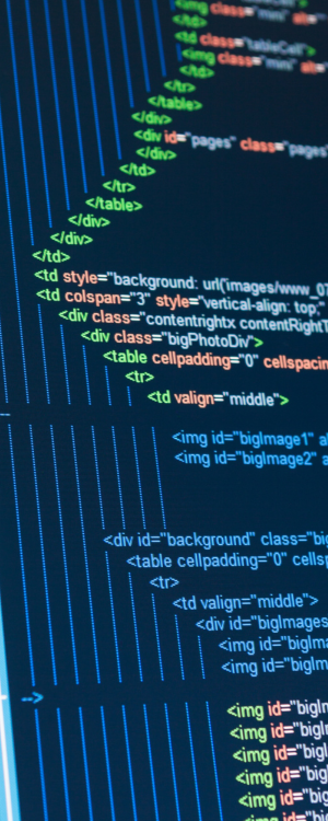 Custom Web Development Vancouver