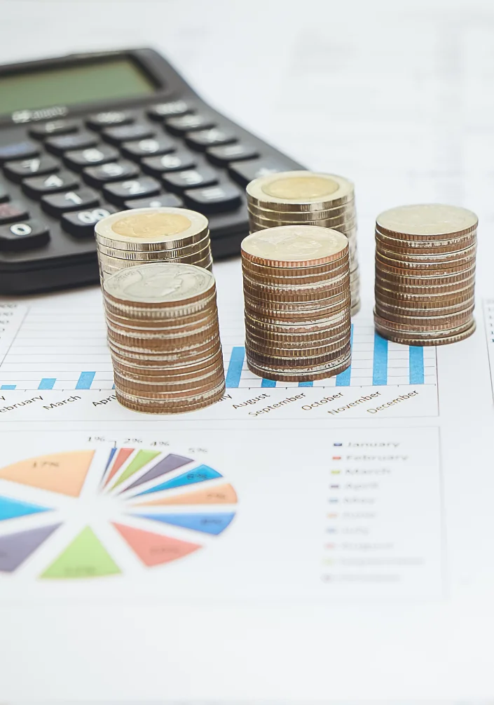 Accounting Firm Web Design