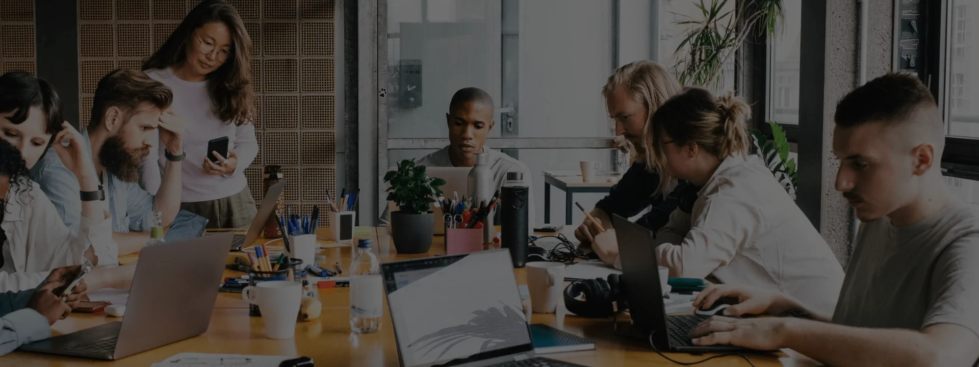 Startups Web Design Services